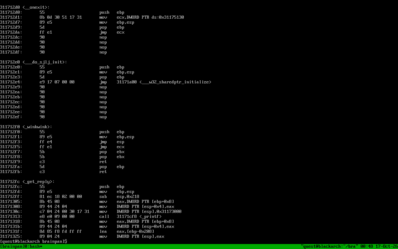 brainpan.exe disassembly